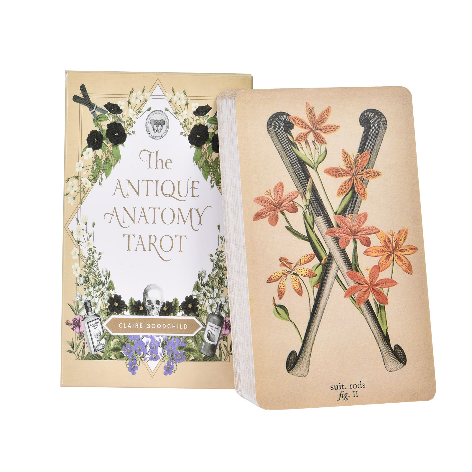 Kartu Tarot Anatomi Antik Vers - Tarot Cards Deck With Guidebook ulasan dan harga
